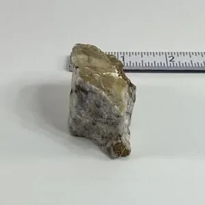 Unbranded | Other | Vermiculated Rock Specimen Idaho Mineral Stone W ...